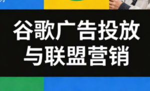 leo老师·谷歌广告投放与联盟营销-爱找项目网