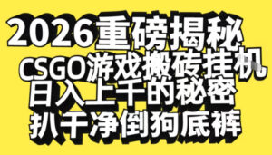 2026开年重磅解密，CSGO游戏搬砖挂G日入1k+的秘密，把倒狗的底裤扒干【揭秘】-爱找项目网