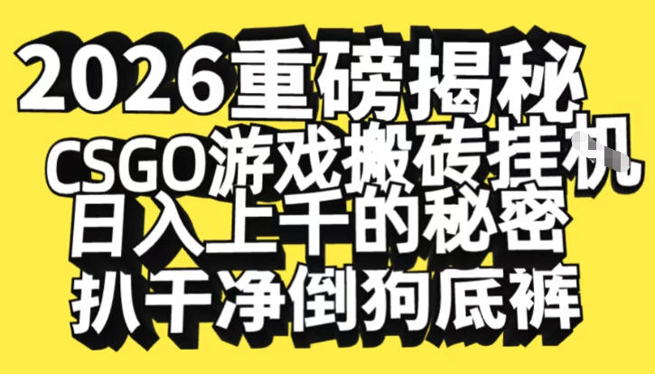 2026开年重磅解密，CSGO游戏搬砖挂G日入1k+的秘密，把倒狗的底裤扒干【揭秘】-爱找项目网