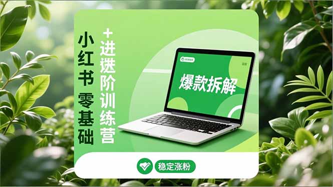 小红书零基础+高阶训练营：安全养号、爆款拆解、长效运营，实现稳定涨粉与变现-爱找项目网