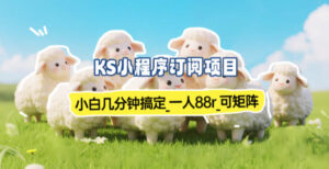 小程序订阅项目_小白几分钟搞定，一人88米，可矩阵(已测到账)-爱找项目网