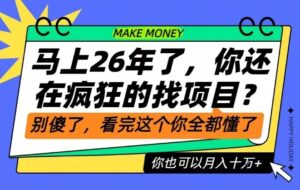26年了，不要再疯狂的找项目了，看完这个你也可以月入十个W【揭秘】-爱找项目网