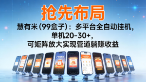 抢先布局慧有米(99盒子)：多平台全自动挂机，单机20-30+，可矩阵实现管道躺赚-爱找项目网