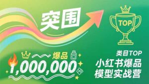 小红书爆品模型实战营，从新品突围到成为类目TOP，可复制路径，打造多个营收百万级爆品-爱找项目网