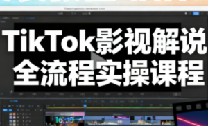 凌帧·TikTok影视解说全流程实操-爱找项目网