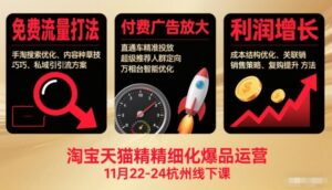 淘宝天猫精细化爆品运营11月22-24杭州线下课，免费流量打法+付费广告放大+利润增长(音频+文档)-爱找项目网