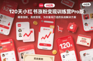 120天小红书涨粉变现训练营Pro版，​精准涨粉，高效变现​，为你量身打造的实战解决方案-爱找项目网