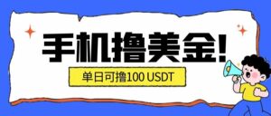 最新手机撸美金项目，单日产值100U+，2026年最新的风口项目-爱找项目网