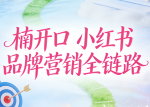 楠开口·小红书品牌营销全链路(更新12月)-爱找项目网