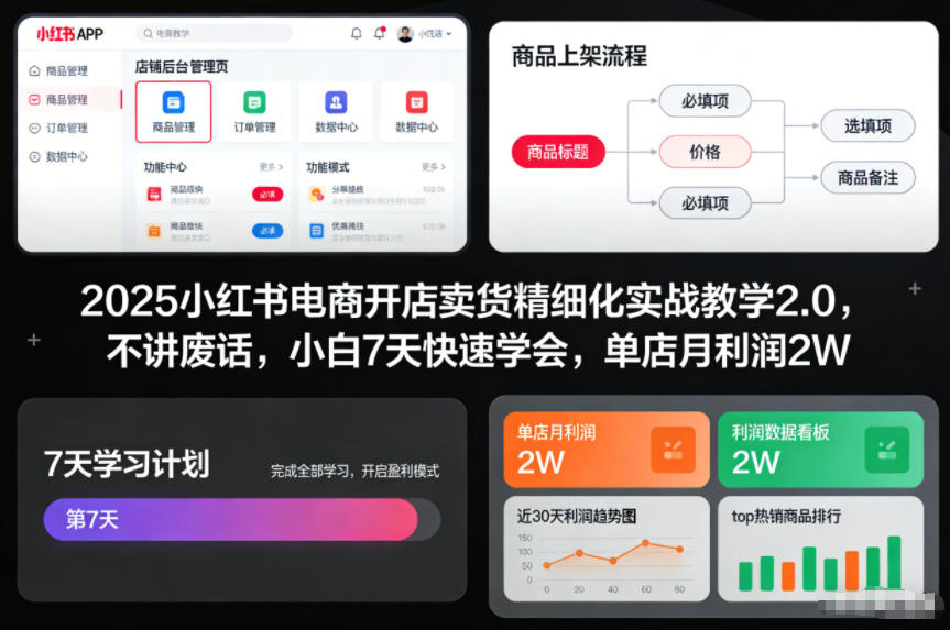 2025小红书电商开店卖货精细化实战教学2.0，不讲废话，小白7天快速学会，单店月利润2W-爱找项目网