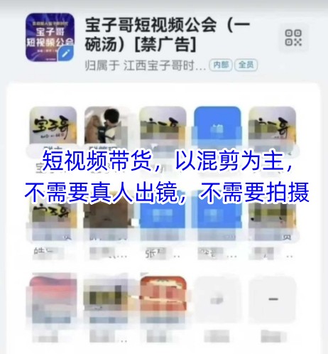宝子哥头部团队短视频带货，以混剪为主，不需要真人出镜，不需要拍摄【更新11月】-爱找项目网