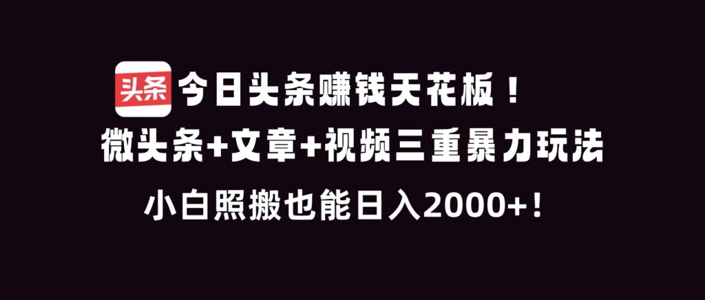今日头条赚钱天花板！微头条+文章+视频三重暴利玩法，小白照搬也能日人2000+-爱找项目网