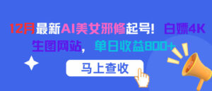12月最新AI美女邪修起号！白嫖4K生图网站，单日收益8张+-爱找项目网