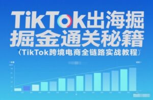 TikTok出海掘金通关秘籍，TikTok跨境电商全链路实战教程-爱找项目网