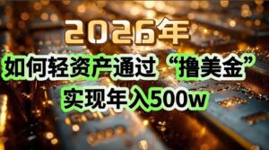 2026年如何轻资产通过“撸美金”实现年入500w-爱找项目网