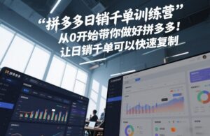 拼多多日销千单训练营，从0开始带你做好拼多多，让日销千单可以快速复制(更新26年1月)-爱找项目网