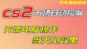 CS2市场挂机项，无需电脑操作，无需进入游戏，当天见效果，支持任何形式验证-爱找项目网