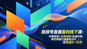 视频号直播盈利线下课：付费投流+三频共振+私域升单，两天两夜打通盈利闭环，月利润5-15万-爱找项目网