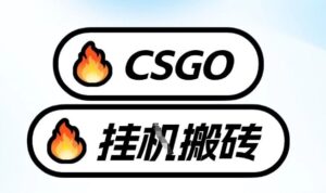 真全网独家CSGO挂G，最新玩法,单日捡漏1K+，不用电脑，不用打游戏【揭秘】-爱找项目网