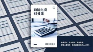 跨境电商财务课，核算逻辑、平台规则、账务处理，掌握全盘账务，胜任高薪岗位月入1.5万+-爱找项目网