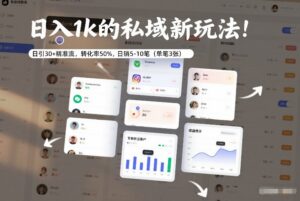 日入1k的私域新玩法：日引30+精准流，转化率50%，日销5-10笔(单笔3张)-爱找项目网