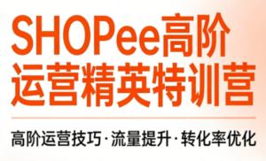 梦凡老师·Shopee虾皮高阶运营课程-爱找项目网
