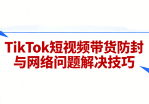 老谭·TikTok短视频带货实拍课程-爱找项目网