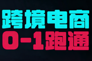 东南亚TikTok小店运营实操-爱找项目网