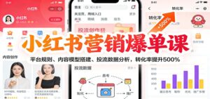 小红书营销爆单课：平台规则、内容模型搭建、投流数据分析，转化率提升500%-爱找项目网