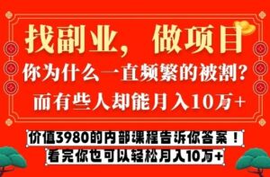 价值3980的网创内部课程，告诉你互联网创业月入10个W的秘密【揭秘】-爱找项目网
