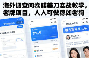 海外调查问卷賺美刀实战教学，老牌项目，人人可做稳如老狗-爱找项目网