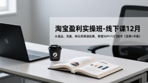 淘宝盈利实操班-线下课12月，从选品、流量、转化到渠道拓展，掌握SOP+12门技术(音频+字幕-爱找项目网