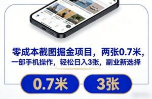 零成本截图掘金项目，两张0.7米，一部手机操作，轻松日入3张，副业新选择【揭秘】-爱找项目网