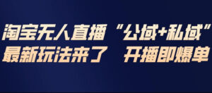 淘宝无人直播完整教程，公试+私域，最新玩法来了，开播即爆单-爱找项目网