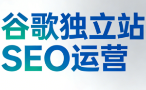 谷歌独立站SEO运营(更新2026)-爱找项目网