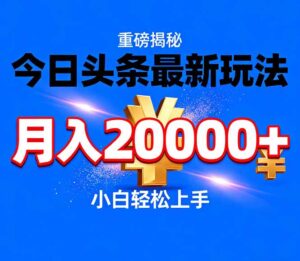 今日头条代运营最新玩法，轻轻松松月入20000＋-爱找项目网