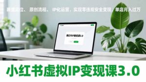小红书虚拟IP变现课3.0，赛道定位、原创流程、IP化运营，实现零违规安全变现，单店月入过万-爱找项目网