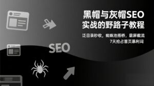 黑帽与灰帽SEO实战的野路子教程：泛目录秒收，蜘蛛池搭桥，霸屏截流，7天抢占首页暴利词-爱找项目网