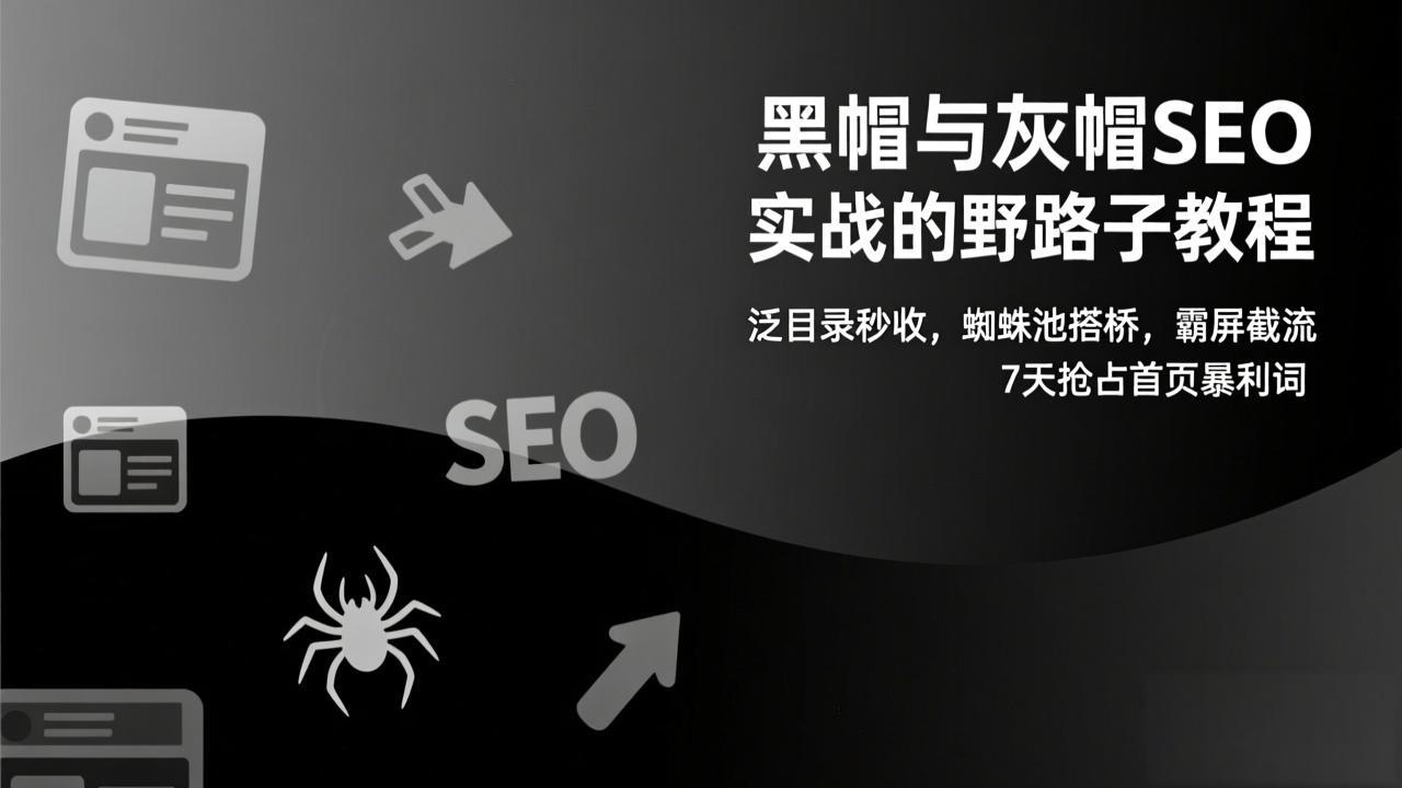 黑帽与灰帽SEO实战的野路子教程：泛目录秒收，蜘蛛池搭桥，霸屏截流，7天抢占首页暴利词-爱找项目网