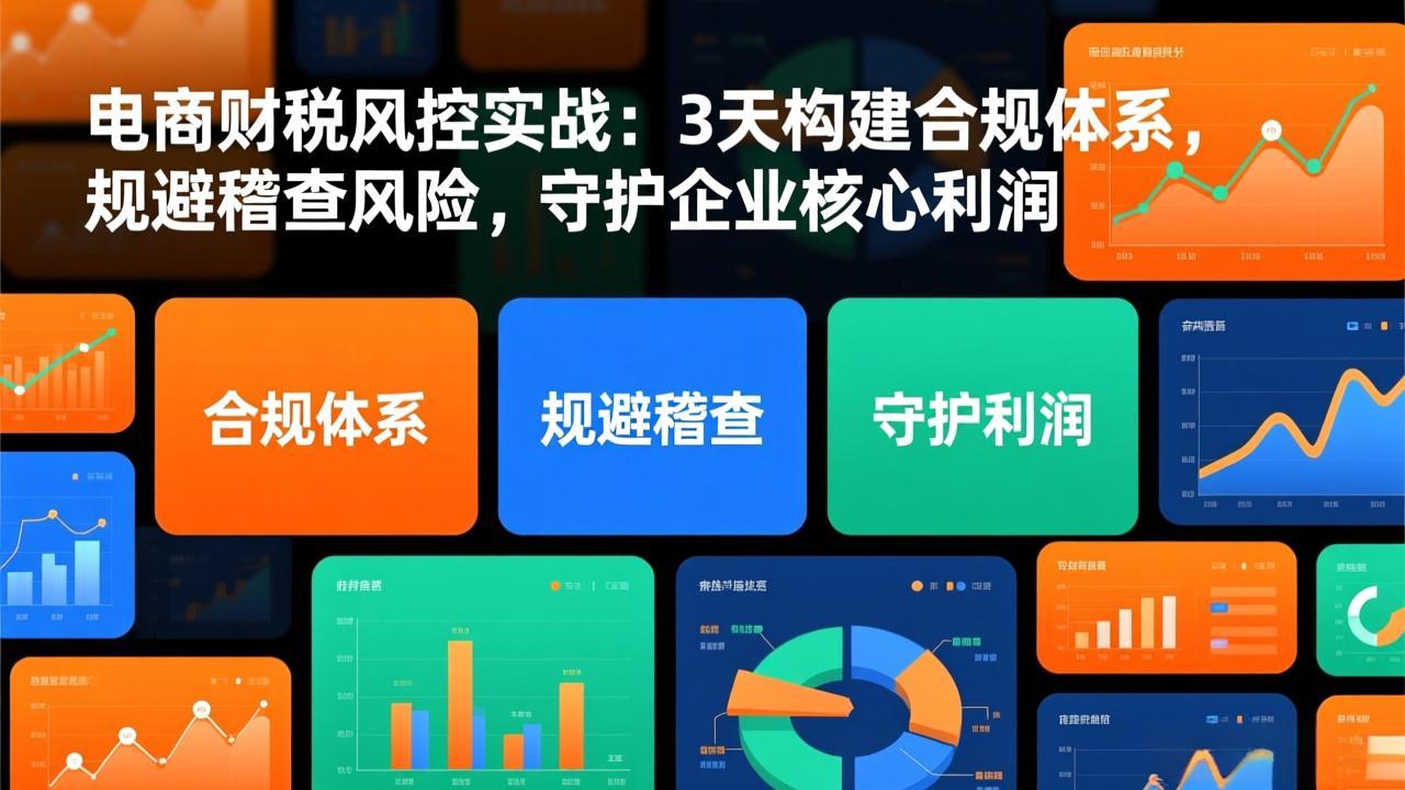 电商财税风控实战：3天构建合规体系，规避稽查风险，守护企业核心利润-爱找项目网