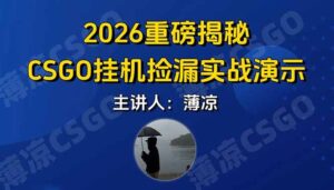 CSGO游戏挂机游戏搬砖最新升级，普通小白一部手机可日入300+当天见结果，支持验证-爱找项目网