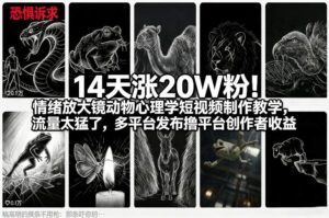 14天涨20W粉！情绪放大镜动物心理学短视频制作教学，流量太猛了，多平台发布撸平台创作者收益-爱找项目网