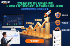 亚马逊卖家运营与利润提升课程，让你的每个SKU都成为爆款，让你的亚马逊利润一路飙升(更新12月)-爱找项目网