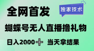 2026最新蝴蝶号无人直播掘金，独家技术，全网首发小白做了一个月收益3W，长期稳定可做【揭秘】-爱找项目网