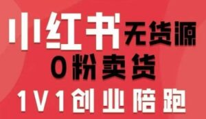 小红书无货源0粉电商课，开店准备、选品策略、笔记撰写、视频剪辑、数据分析、账号打造、资料文档(更新26年1月)-爱找项目网