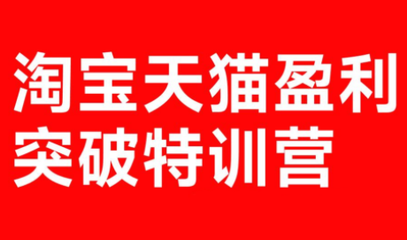 玺承·淘宝天猫盈利突破特训营(25年12月线下课)【音频+字幕】-爱找项目网