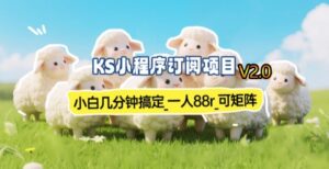 【新一期】小程序订阅_小白几分钟70-80r，可矩阵(已测到账)-爱找项目网