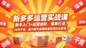拼多多运营实战课，新手入门+运营进阶、爆单打法，16节干货，助力新手店铺快速实现日出百单-爱找项目网