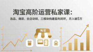 淘宝高阶运营私家课：选品、爆款、全店动销，三模块构建盈利闭环，月入破5万(更新26年2月-爱找项目网