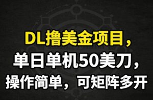 DL撸美金项目，单日单机50美刀，操作简单，可矩阵多开-爱找项目网